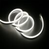 Neon-White-COlor